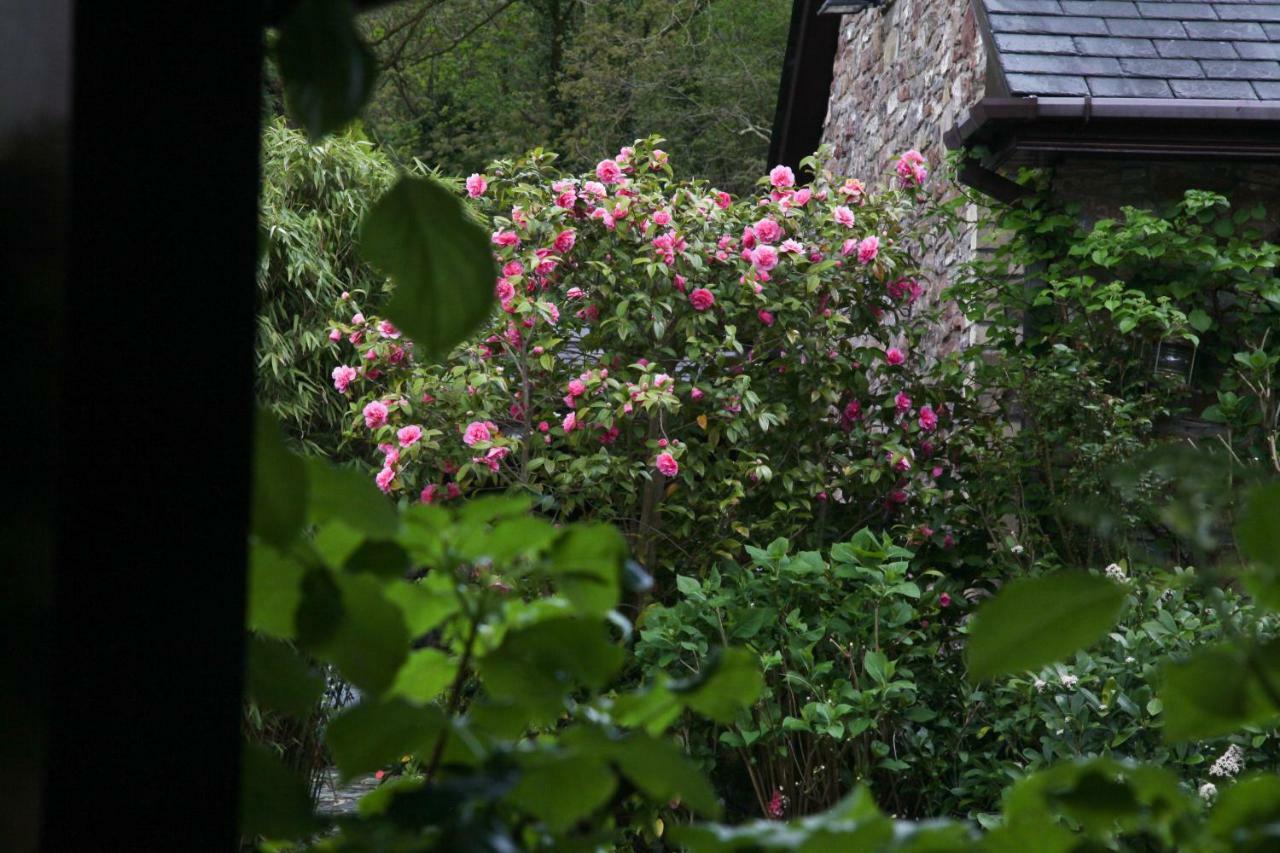 Ty Carreg Fach Staycation Cottage Cardiff Dış mekan fotoğraf